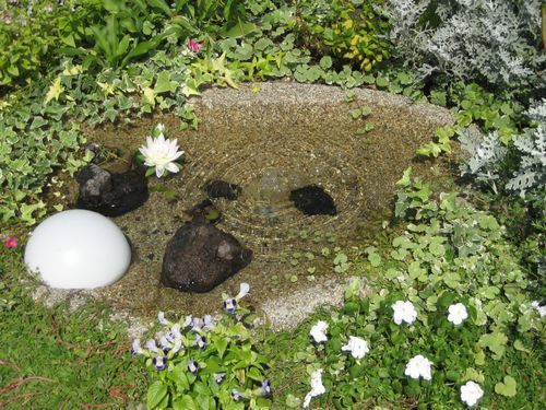 庭のビオトープ（湧水池スモールタイプ）