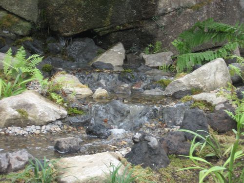 庭のビオトープ(滝)　