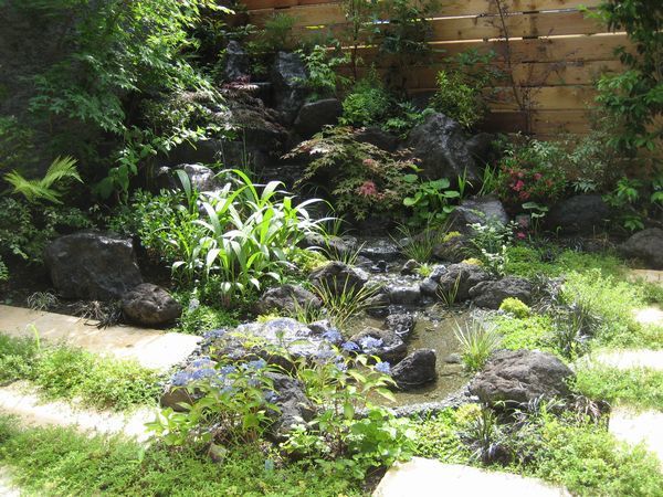 庭のビオトープ（滝・流れ・池）