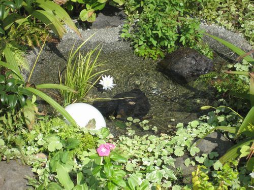 庭のビオトープ（湧水池スモールタイプ2）