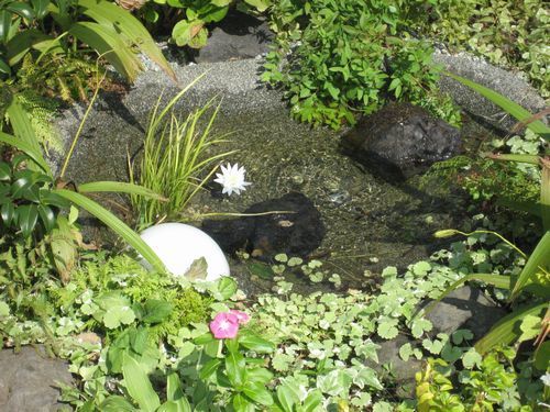 庭のビオトープ（湧水池スモールタイプ2）