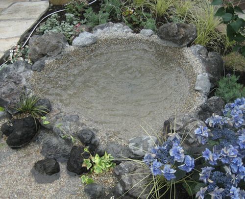 庭のビオトープ　湧水