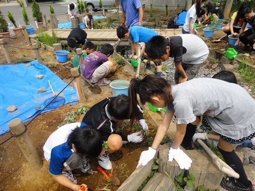 学校ビオトープ製作