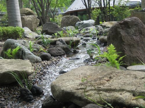 庭のビオトープ(流れ)　