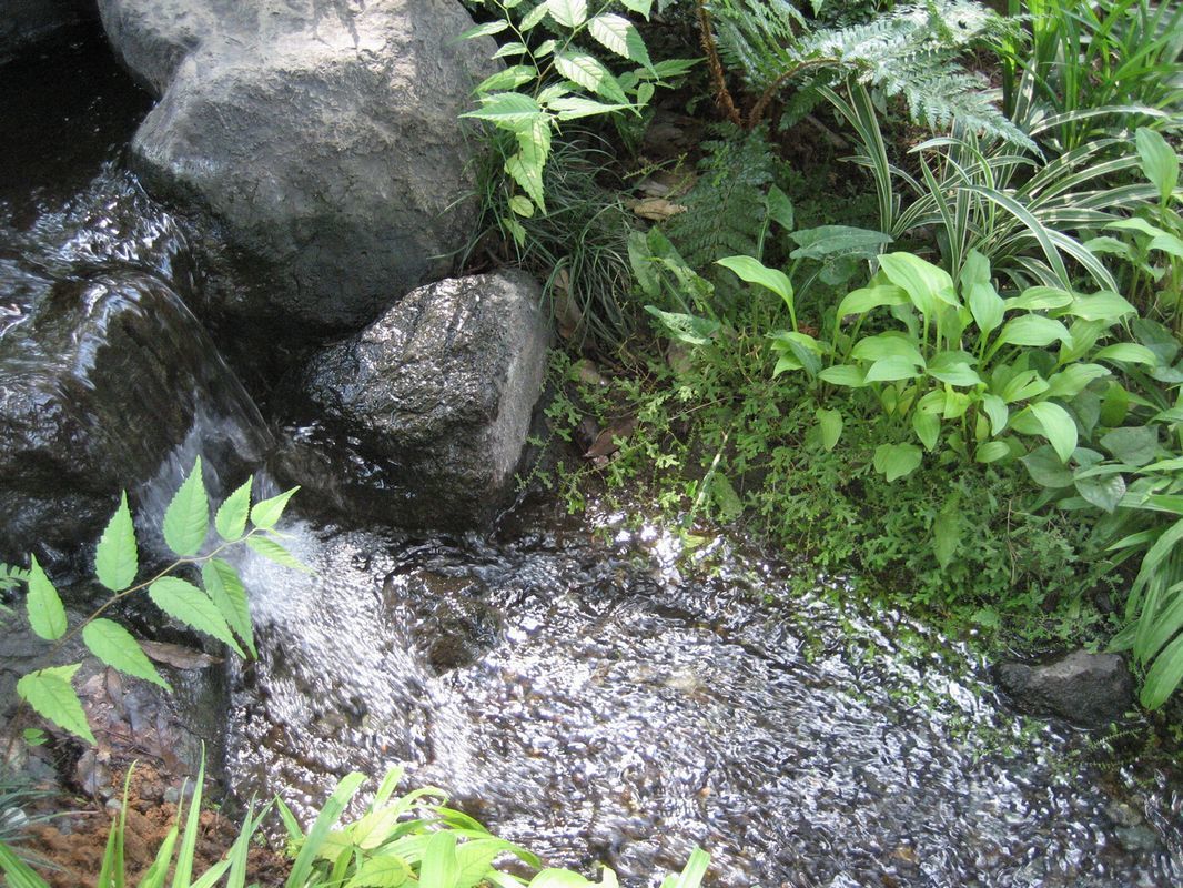 庭のビオトープ(滝と流れ)