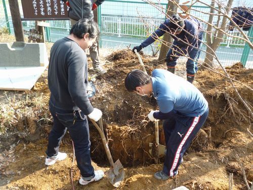 ビオトープ　作り方　学校