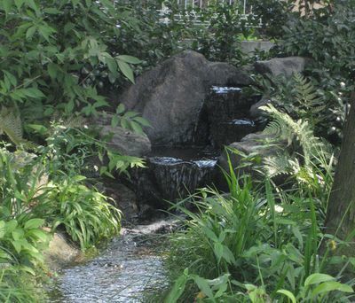 庭のビオトープ(滝と小川)