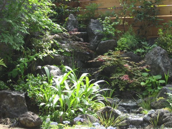 庭のビオトープ（滝・流れ・池）2