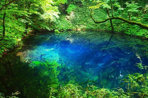 青池　白神山地