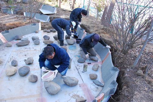 ビオトープ　学校