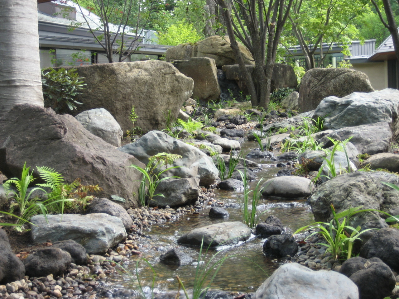 庭　ビオトープ