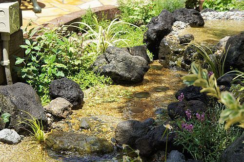 庭のビオトープ（小川と池）