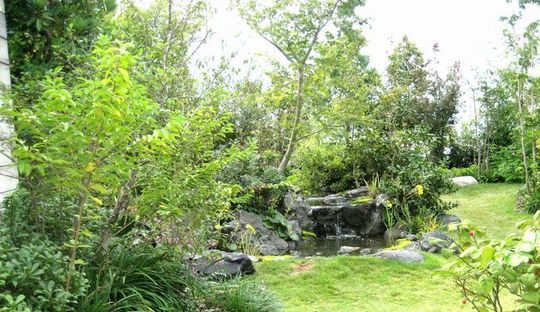 屋上緑化　ビオトープ