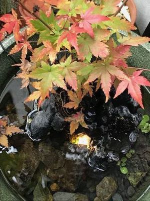 昇竜の滝　ｋ様