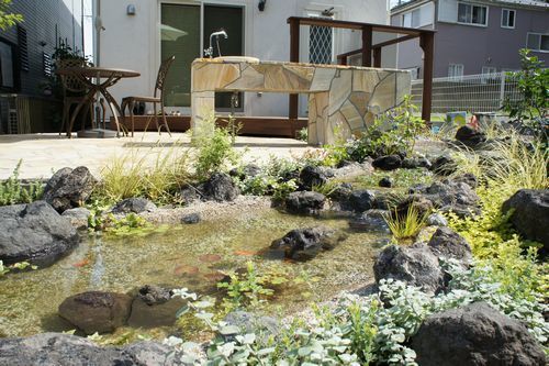 庭のビオトープ