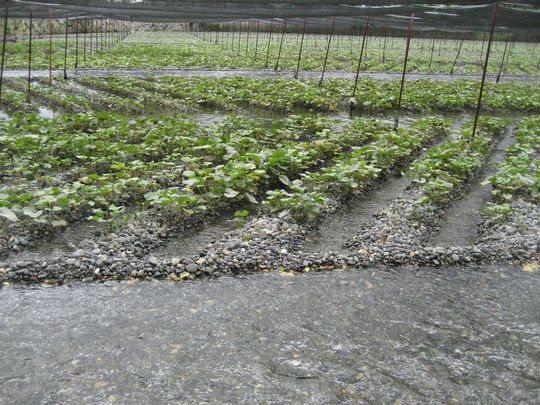 安曇野