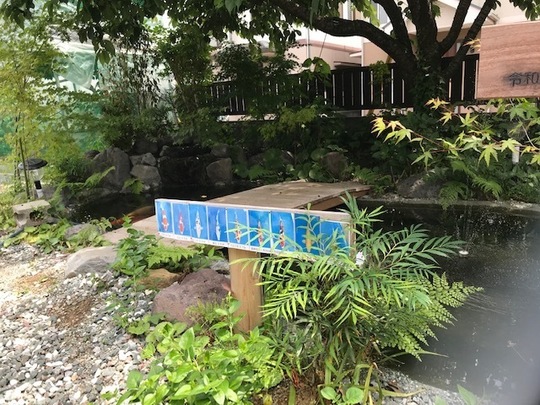 池　錦鯉